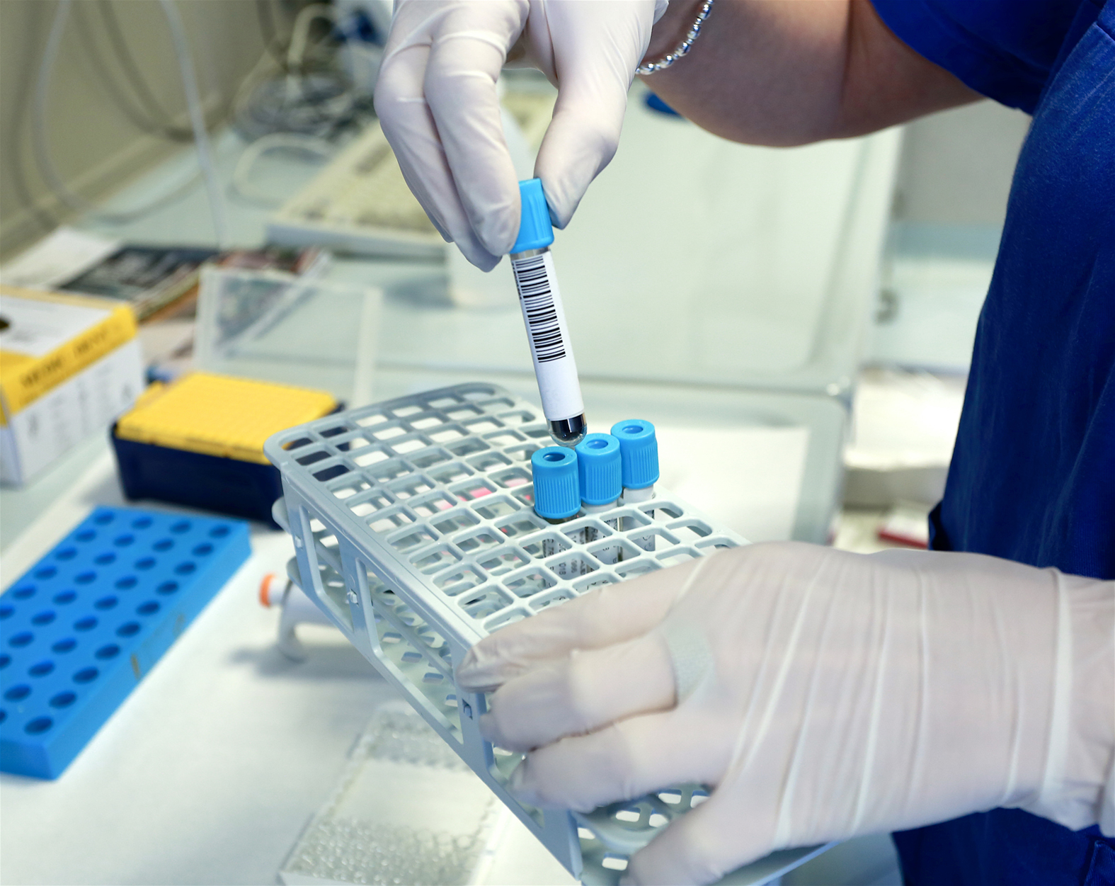 Laboratorio di Genetica